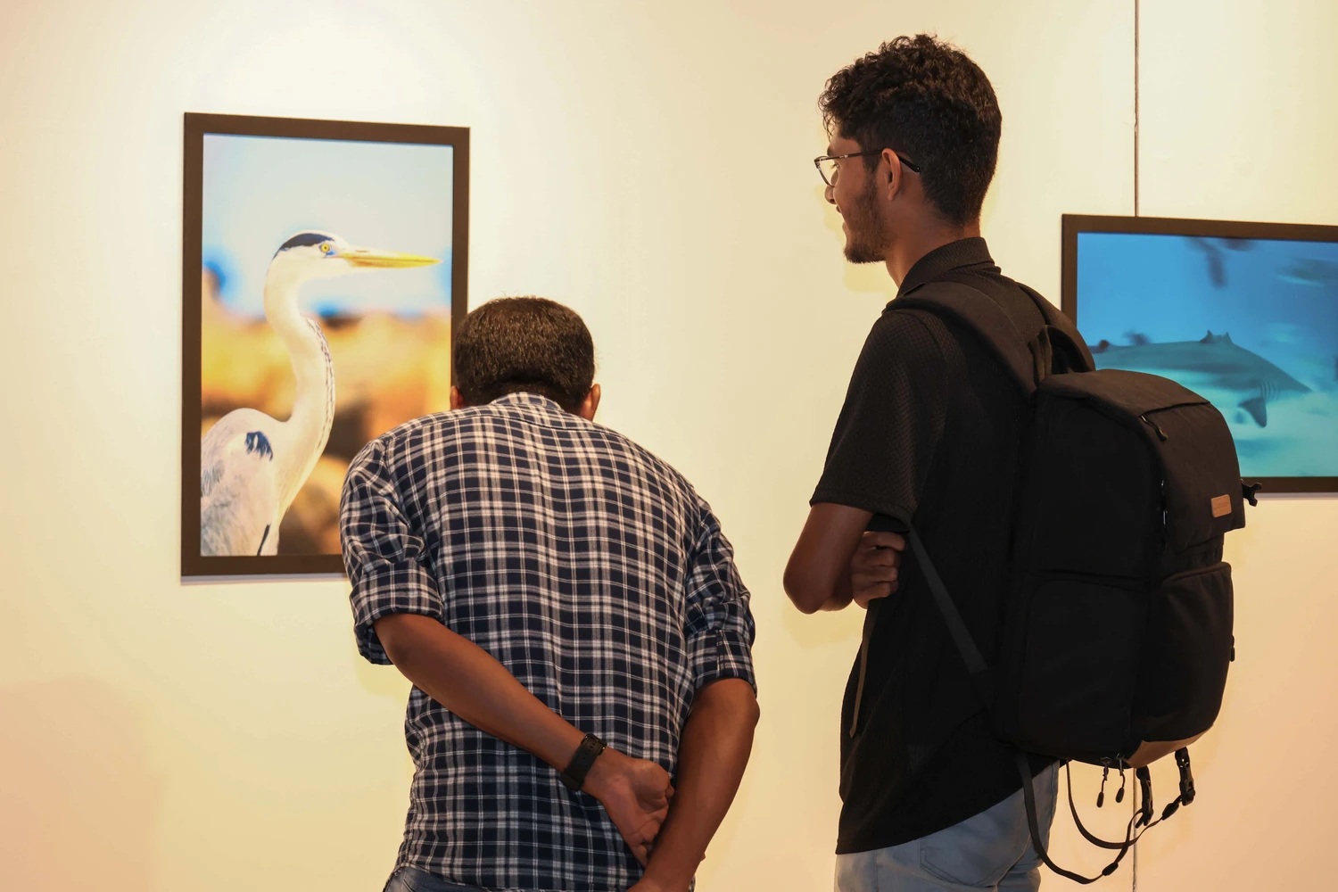 gallery
